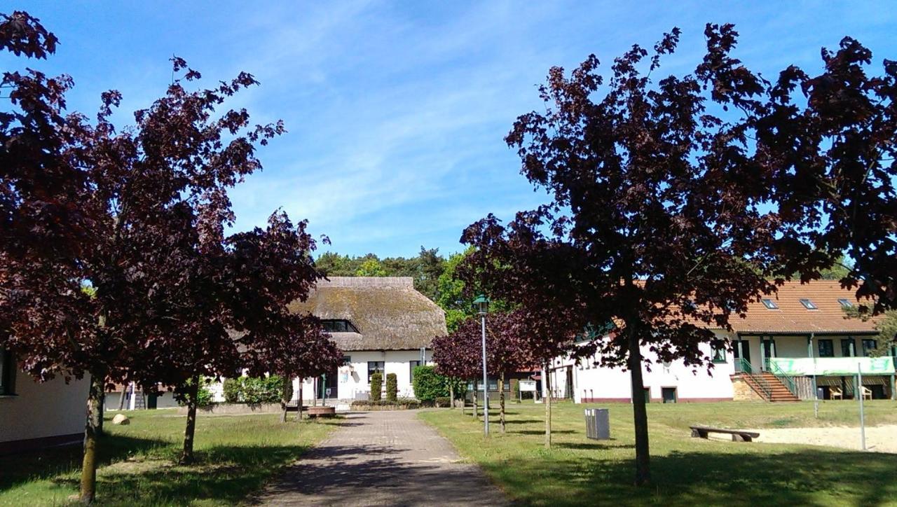 Jugendtours-Feriendorf Ummanz Eksteriør bilde