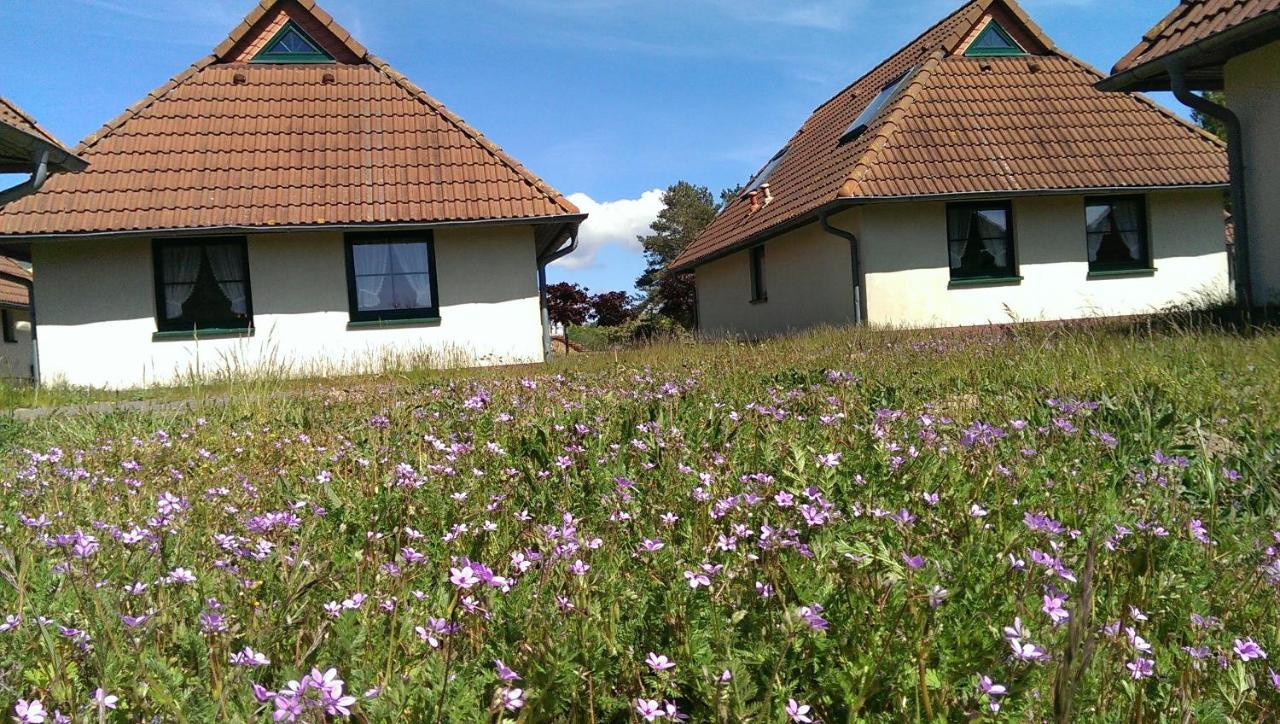 Jugendtours-Feriendorf Ummanz Eksteriør bilde